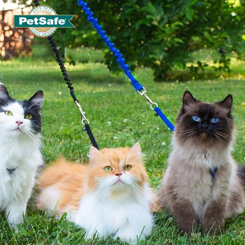 【美国贝适安】猫咪蹦极牵引绳可调节遛猫绳插图 【美国贝适安】猫咪蹦极牵引绳可调节遛猫绳插图