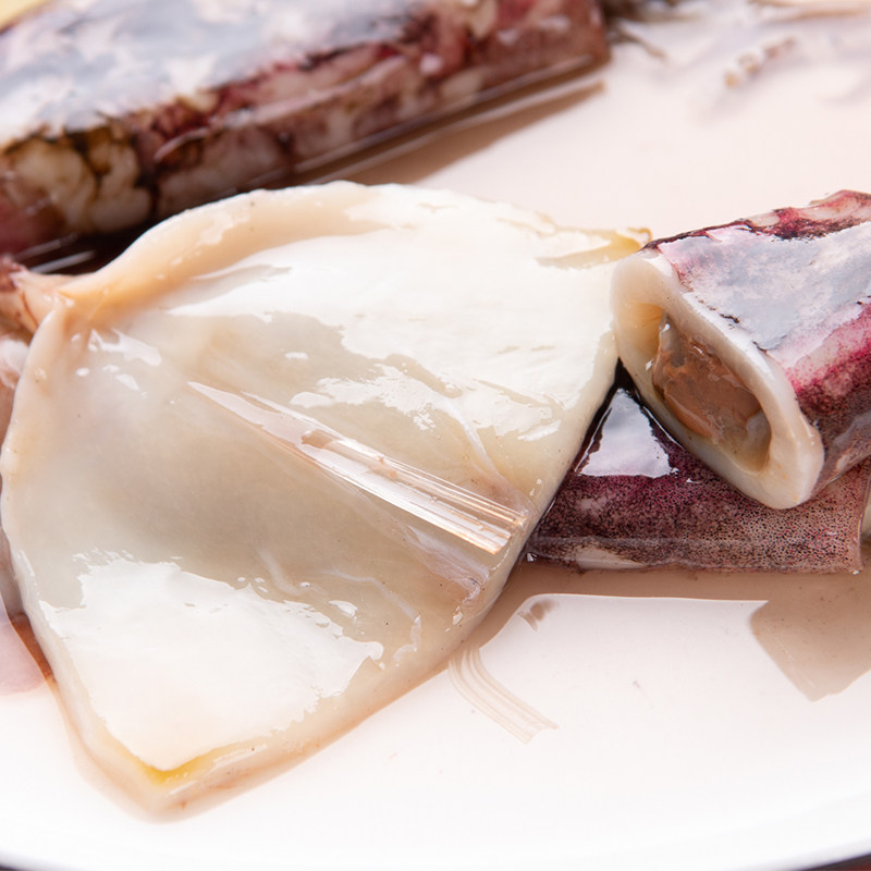 大连特产新鲜海捕鱿鱼500g一斤