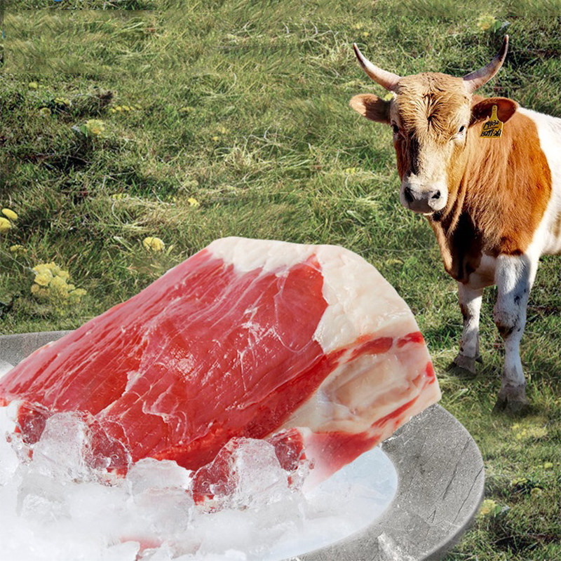 【天莱香牛】国产有机牛腩0.5kg*3袋