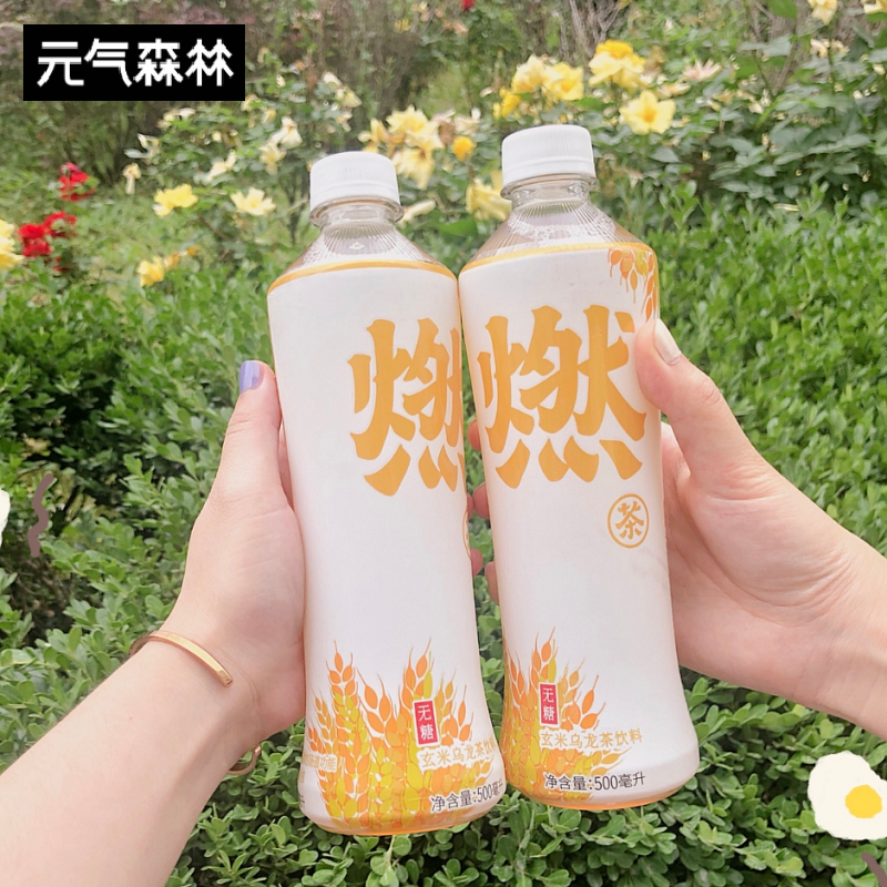 【元气森林】乌龙茶饮料500ml*15瓶 