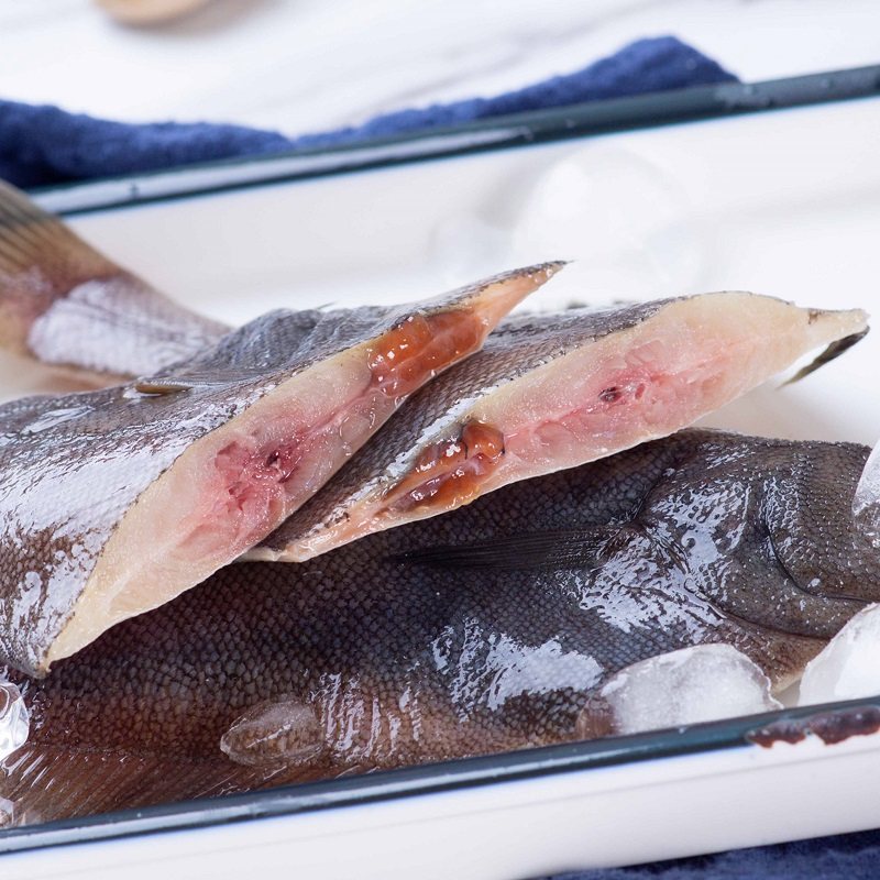 野生海捕比目鱼保鲜新鲜大偏口鱼