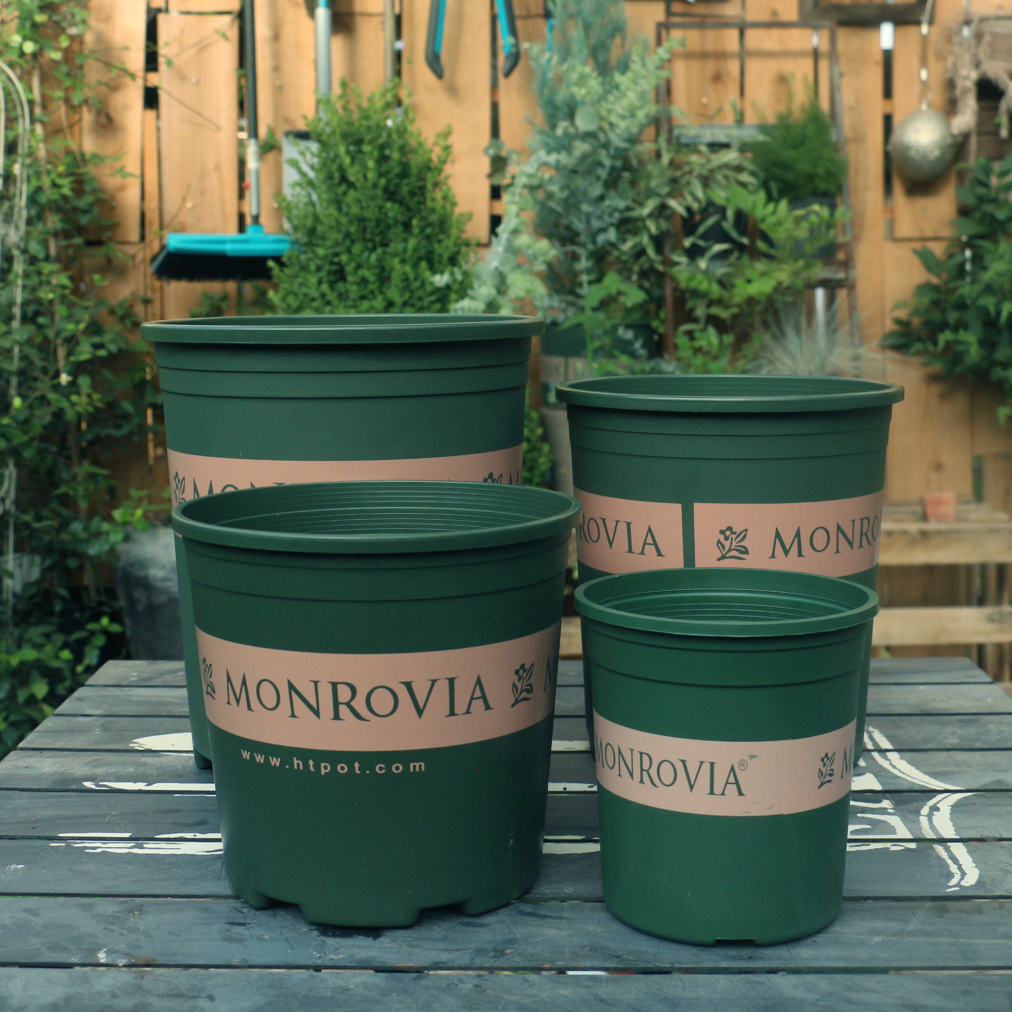 种花王大爷环球加仑盆阳台盆栽绿植塑料盆