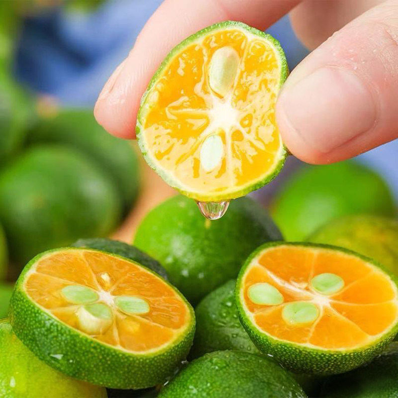 海南小金桔水果4050个